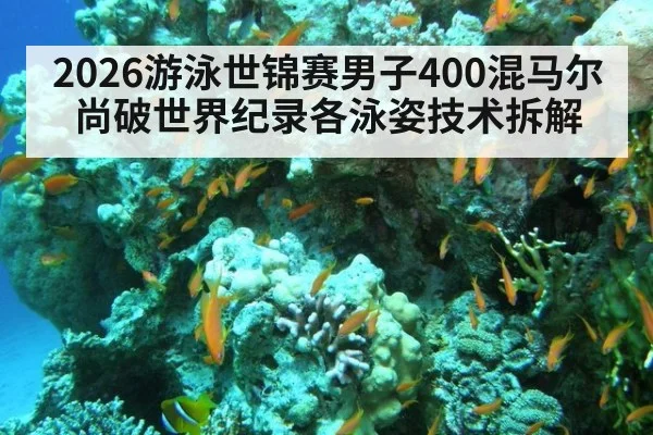 2026游泳世锦赛男子400混马尔尚破世界纪录各泳姿技术拆解
